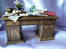 Mr Darwin's Desk